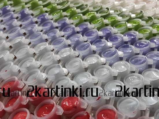 Картина по номерам 40x50 GX8999 Лев в стиле поп-арт за 995 руб. в интернет-магазине в Екатеринбурге Картина по номерам 40x50 Лев в стиле поп-арт