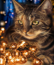 Без бренда «2KXSB-0678» в Екатеринбурге 