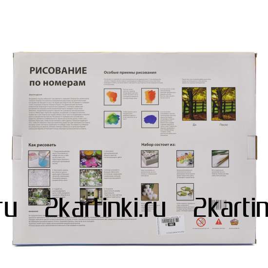 Картина 30x40 WB8023 Девушка с розовой розой на голове за 410 руб. в интернет-магазине в Екатеринбурге Картина 30x40 Девушка с розовой розой на голове