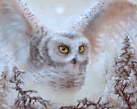 Без бренда «Полярная сова над лесом (20шт)» в Екатеринбурге 