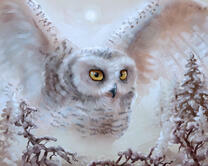 Без бренда «Полярная сова над лесом (20шт)» в Екатеринбурге 