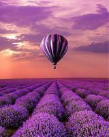 Без бренда «Фиолетовый воздушный шар над фиолетовым лавандовым полем (20шт)» в Екатеринбурге 