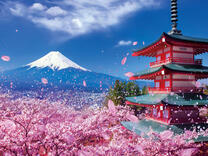 Без бренда «BOX20-2KSB-7277» в Екатеринбурге 