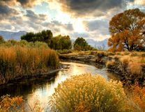 Без бренда «BOX25-GX29355» в Екатеринбурге 