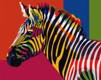 Колоритная зебра. Ваю Ромдони