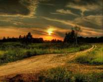 Без бренда «Проселочная дорога на закате» в Екатеринбурге 