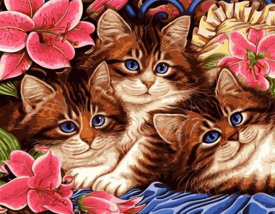 Картина по номерам 40x50 Голубоглазые котята среди цветов