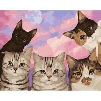 Без бренда «Такие разные котики» в Екатеринбурге  в интернет-магазине  в Екатеринбурге Без бренда «Такие разные котики» в Екатеринбурге
