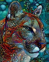 Пума и звезды