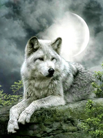 Без бренда «Коробка 25 шт. картин по номерам BOX25-GX21058» в Екатеринбурге 