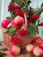 Без бренда «Коробка 25 шт. картин по номерам BOX25-GX5174» в Екатеринбурге 