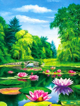 Река с цветущими лотосами