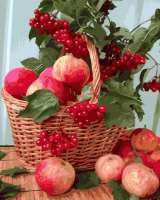 Без бренда «Плетёная корзина с калиной и яблоками» в Екатеринбурге 
