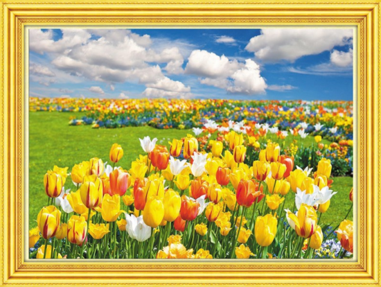 Алмазная мозаика 30x40 Поля цветущих ярких тюльпанов