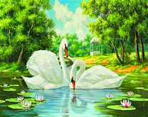 Белые лебеди на озере в парке