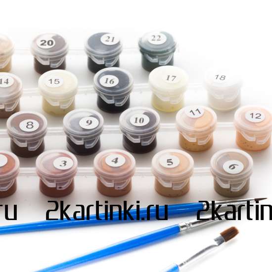 Картина по номерам 40x50 Test4 за 0 руб. в интернет-магазине в Екатеринбурге Картина по номерам 40x50 Test4