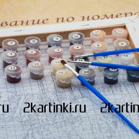 Картина по номерам 40x50 Q5182 Обнаженная девушка и череп за 1050 руб. в интернет-магазине в Екатеринбурге Картина по номерам 40x50 Обнаженная девушка и череп