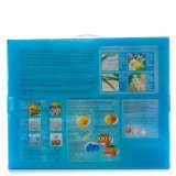 Картина по номерам 40x50 Q5182 Обнаженная девушка и череп за 1050 руб. в интернет-магазине в Екатеринбурге Картина по номерам 40x50 Обнаженная девушка и череп