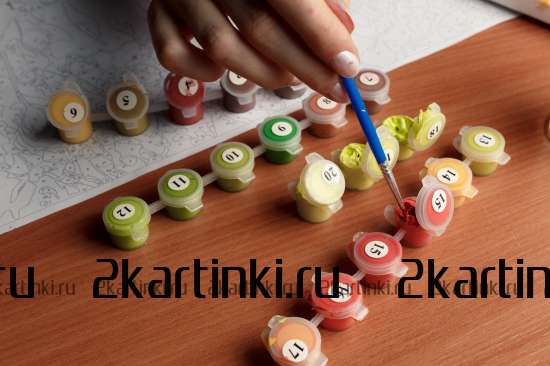 Картина по номерам 40x50 GX8999 Лев в стиле поп-арт за 995 руб. в интернет-магазине в Екатеринбурге Картина по номерам 40x50 Лев в стиле поп-арт