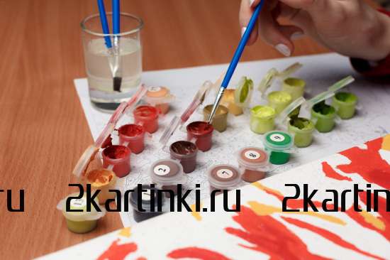 Картина по номерам 40x50 Test4 за 0 руб. в интернет-магазине в Екатеринбурге Картина по номерам 40x50 Test4