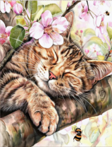 Без бренда «Волосатый котик спит на ветви яблони» в Екатеринбурге 