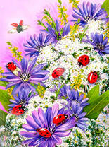 Божьи коровки на весенних цветочках