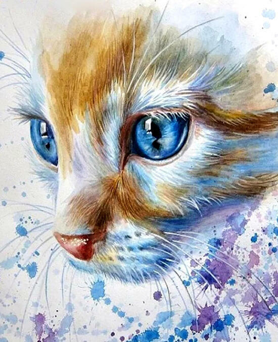 Картина по номерам 40x50 Котенок с большими голубыми глазами